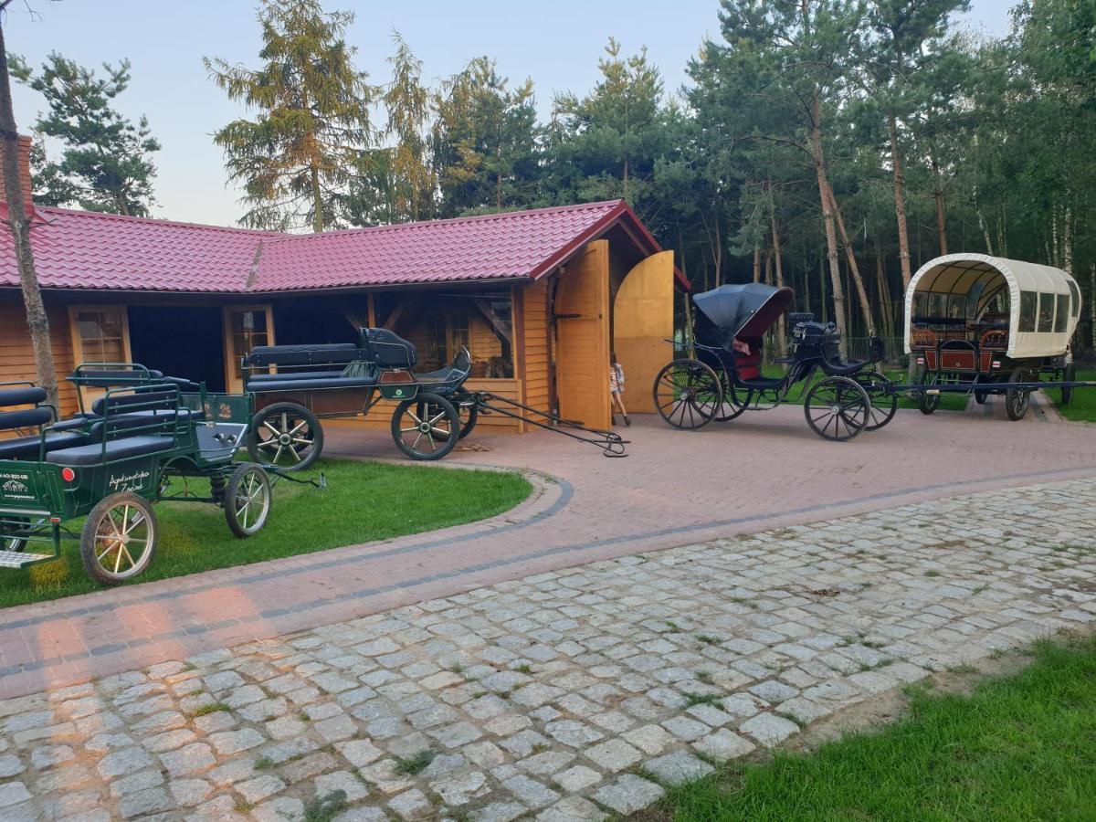 Willa Ośrodek Agroturystyczny Zacisze Giewartów Zewnętrze zdjęcie