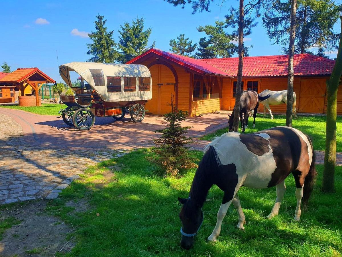Willa Ośrodek Agroturystyczny Zacisze Giewartów Zewnętrze zdjęcie